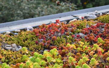the cost of Caroe green roof installation
