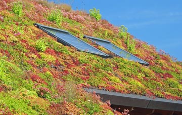 Caroe living roof systems