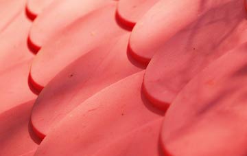 Caroe plastic roof costs